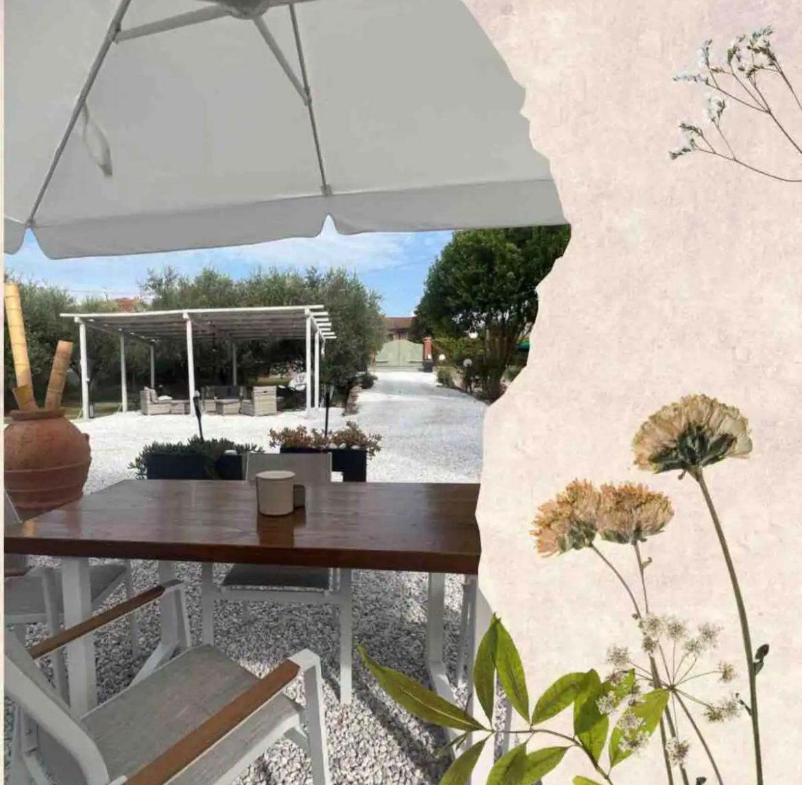 Holiday home Versilia-mare E Monti Mommio